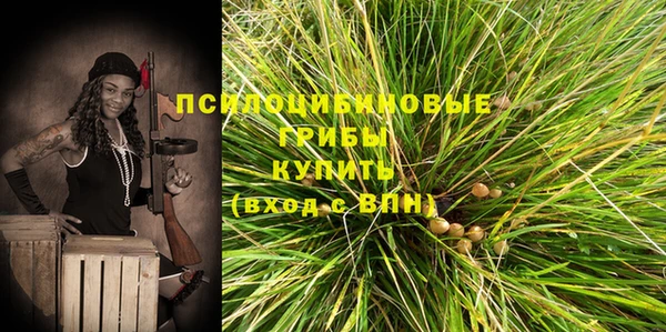 крисы Абдулино