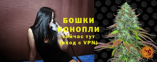 крисы Абдулино